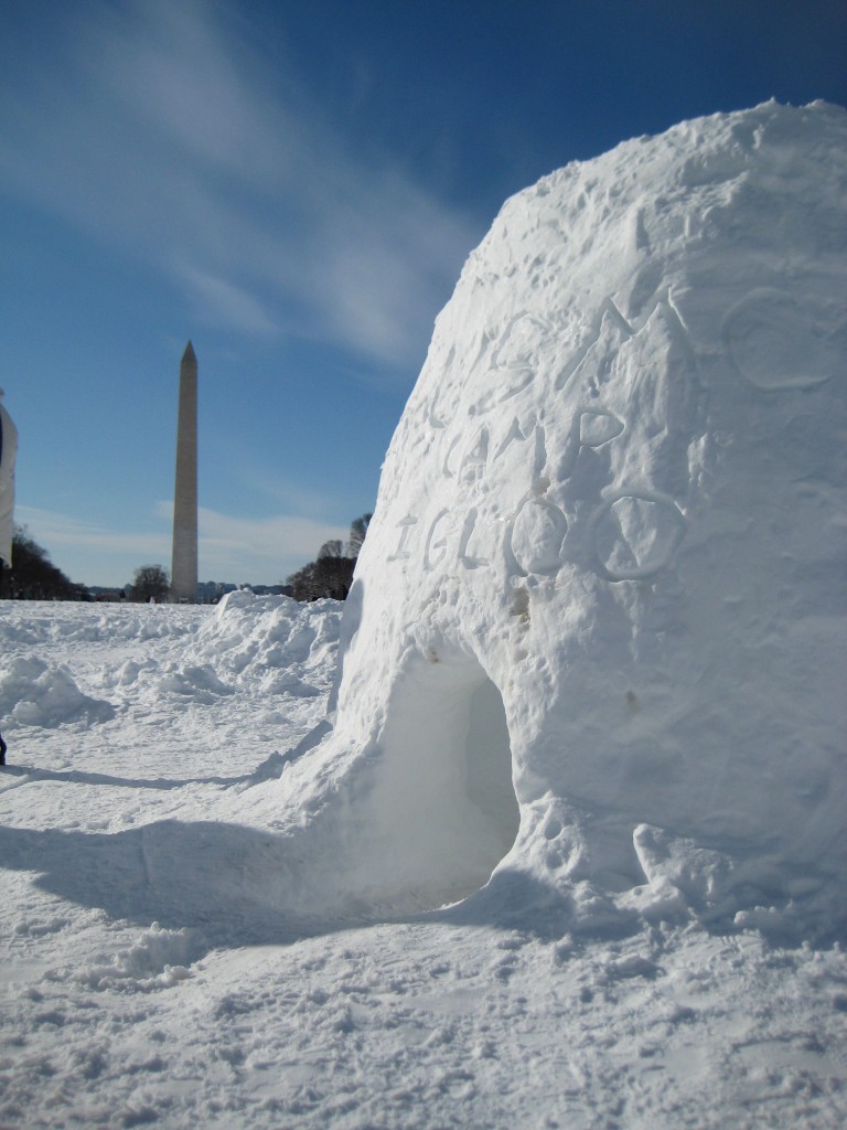 Jen Wheeler - Camp Igloo