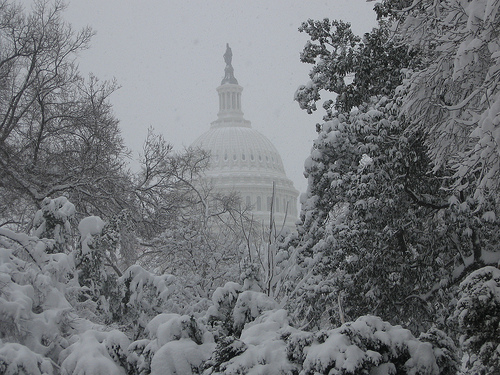 Matthew Gagnon - Capitol