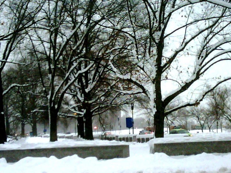 Winter Wonderland - Vivian Myrtetus