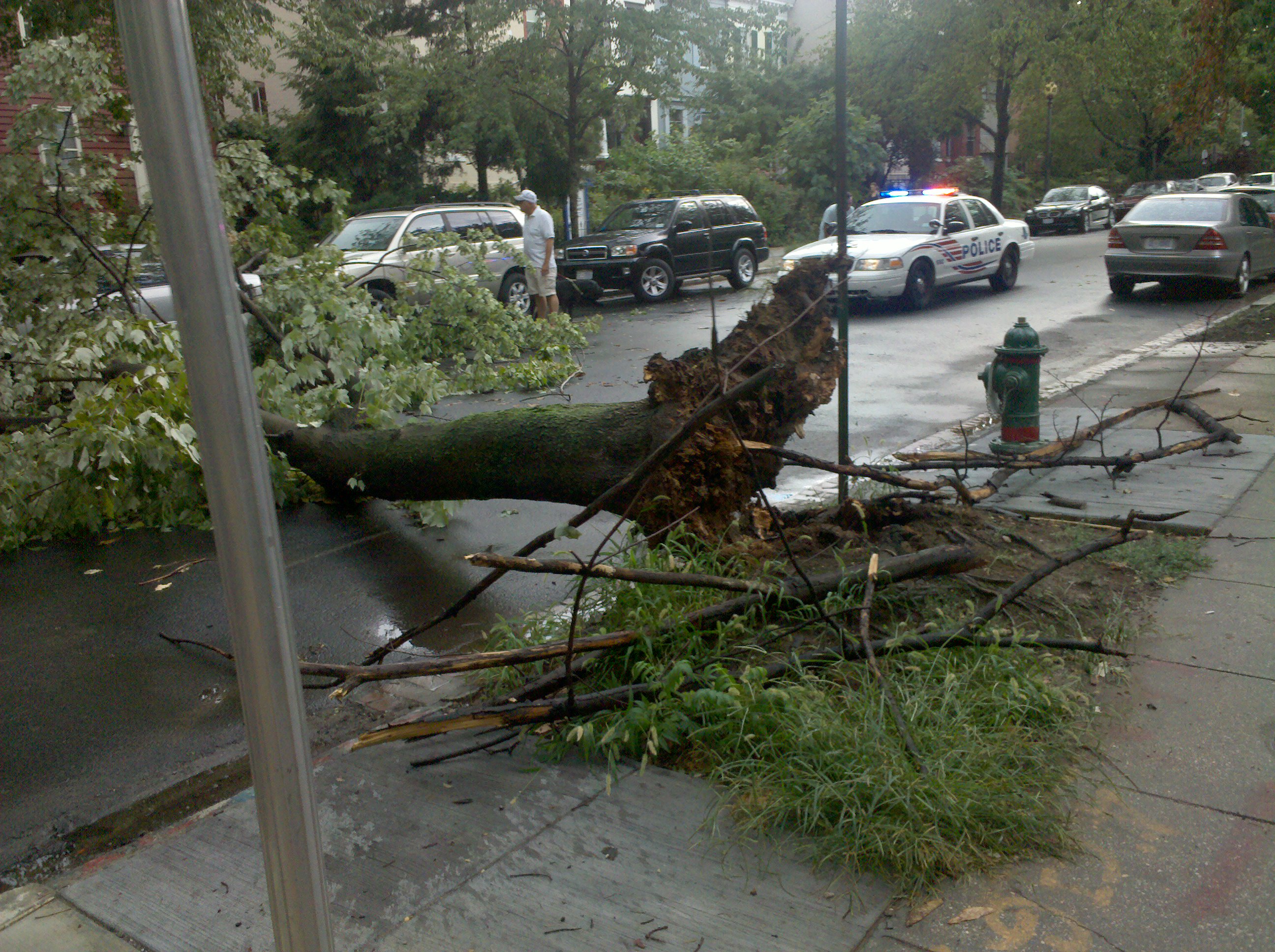 FamousDC - Capitol Hill Damage
