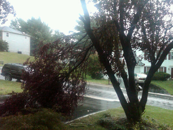 FamousDC - Tornado Damage - Tatiana Posada