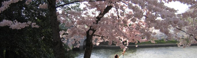 Famous Feedback: Favorite Thing to do in DC During Spring